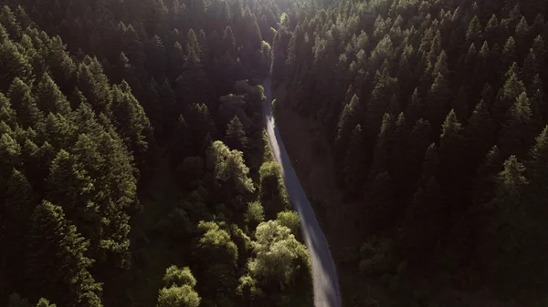 Πού θα ταξιδέψουμε με την "Ατραπό" ως το τέλος του 2025;