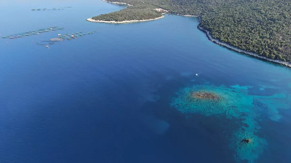 Υποβαθμίζονται σημαντικά τα λιβάδια Ποσειδωνίας σε Ξηρόμερο και Κάλαμο λόγω ιχθυοκαλλιεργειών