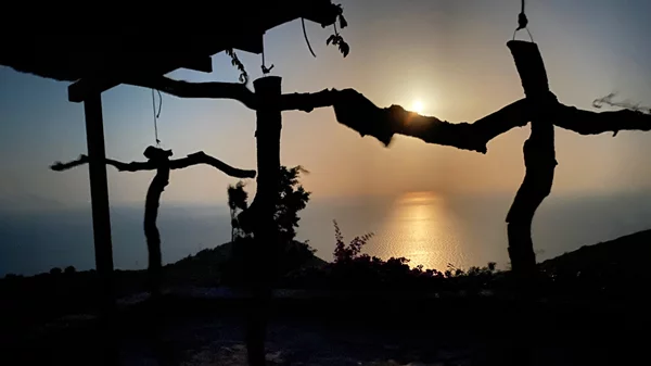 Λυδία Δαμπασίνα: "Για εμένα, ένα έργο γίνεται πάντα σε ένα καφέ ή την ώρα που διαβάζω ένα βιβλίο, όχι στο εργαστήριο"