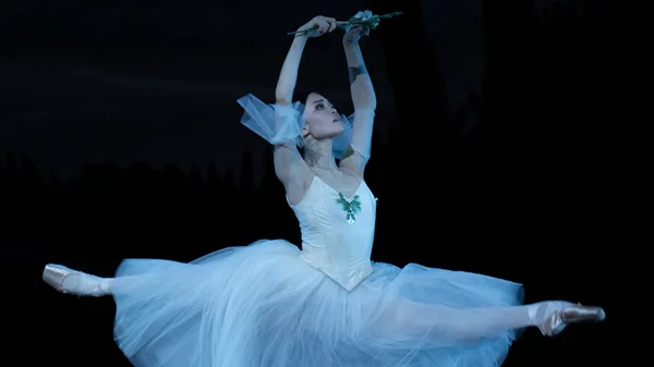 "Black Swan": Παράσταση εμπνευσμένη από τη "Λίμνη των Κύκνων" στο Christmas Theater