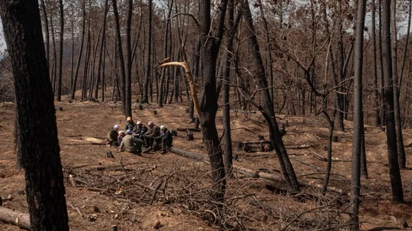 "Beyond Destruction – Ρόδος, Θεσσαλία, Έβρος": Ανθεκτικότητα και ελπίδα μετά τις καταστροφές του 2023