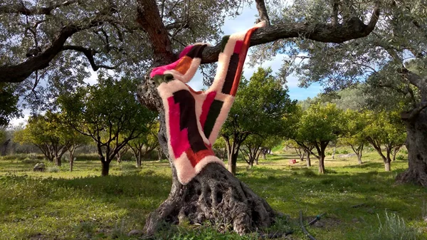 Μια πολυμεσική έκθεση μελετά την ιστορία του Νιόκαστρου Πύλου