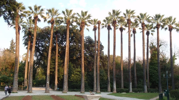 Εξερευνήστε τη βιοποικιλότητα του Εθνικού Κήπου