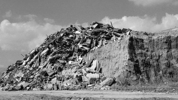 Ο Δημήτρης Τρίκας αναβιώνει τη γειτονιά του Ελαιώνα με έναν αναπάντεχο τρόπο, ταξιδεύοντάς μας στο χθες και το σήμερα της περιοχής