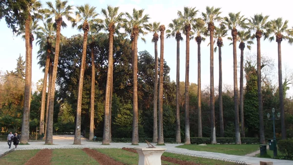 "Το Μουσείο στον Εθνικό Κήπο" γιορτάζει 10 χρόνια με δύο καλοκαιρινά προγράμματα