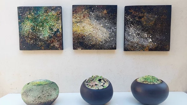 "Μια βιτρίνα, ένα παράθυρο στο βλέμμα...": 28 καλλιτέχνες καταπιάνονται με την ιδέα της "σποράς"