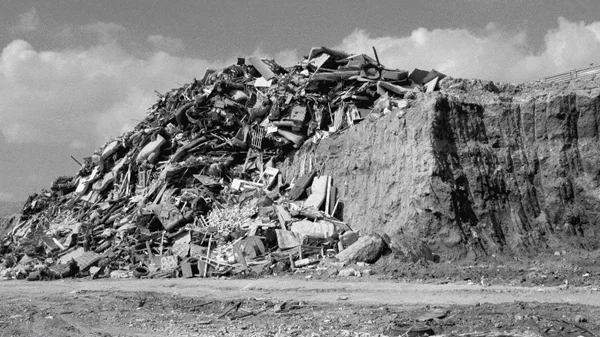 "Ελαιώνας ‘23": Μια νέα εικαστική έκθεση εξετάζει τις συνέπειες της ανθρώπινης παρέμβασης στο φυσικό περιβάλλον