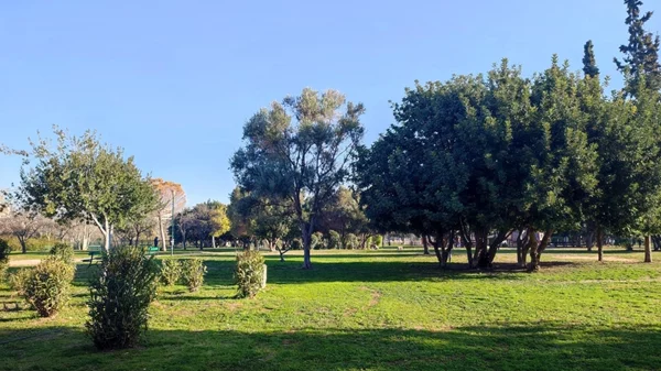 Τα δωρεάν της εβδομάδας: Urban πικνίκ στην Ακαδημία Πλάτωνος