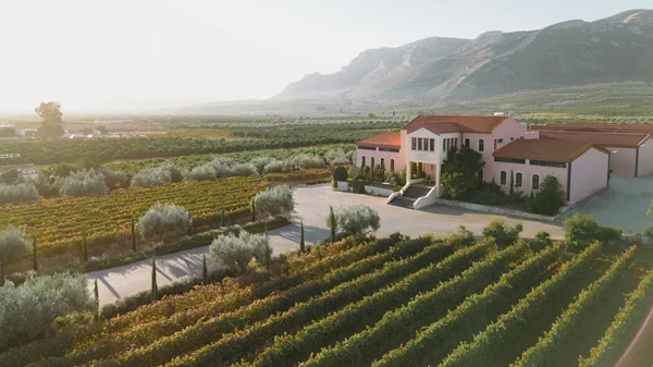 Μεγάλες Μέρες Νεμέας 2024: Μουσική, γαστρονομία και street art στο Κτήμα Σκούρα