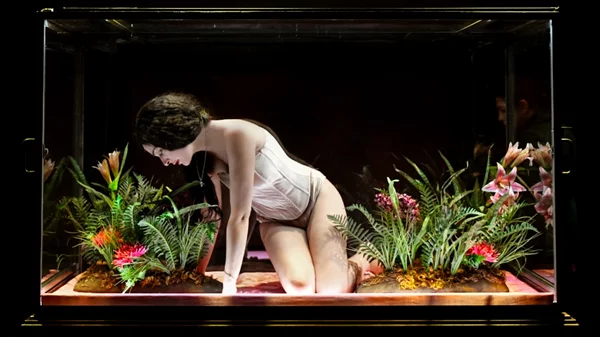 "Amalia melancholia, η βασίλισσα των φοινίκων": Συνεχίζεται για όλο το Μάρτιο στο Δημοτικό Θέατρο Πειραιά