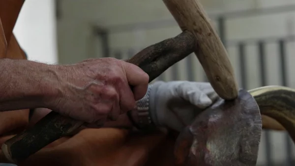 Εργαστήρια μαστοριάς στο Μουσείο Κανελλοπούλου