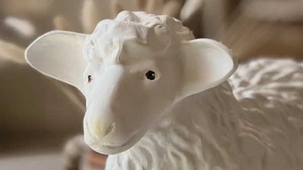 Για φίνα μοσχίδα, φιλέτο προβατίνας και κόκορα παστιτσάδα στον Νέο Κόσμο