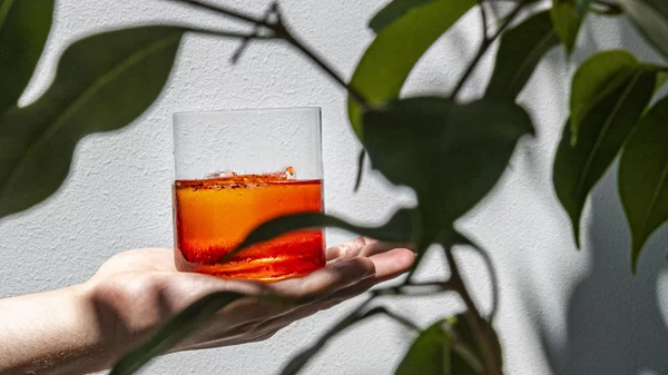 Γνώριζες πως στο Παλαιό Φάληρο υπάρχει μια αυλή του Negroni;