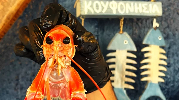 Γνώριζες ποιο είναι το πιο 'τρελό' ψαρομάγαζο της Αθήνας;