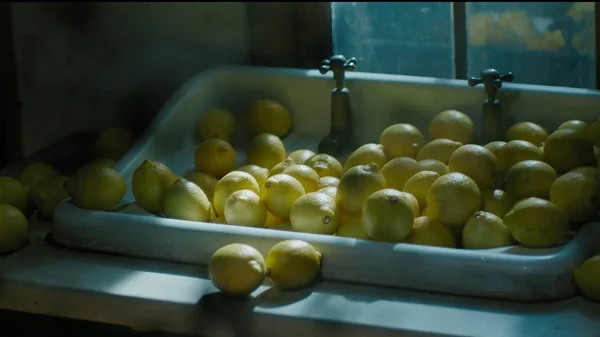 Ένα πειραματικό Παλαιστινιακό ντοκιμαντέρ για τη μνήμη και το τραύμα προβάλλεται στο ΕΜΣΤ