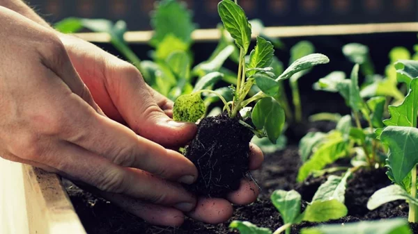 DIY-εργαστήριο για τη βιώσιμη κατανάλωση στο Ινστιτούτο Γκαίτε