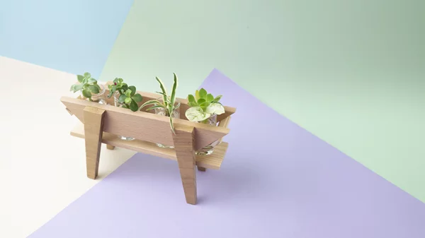 Φέτος του Αγίου Βαλεντίνου, δεν αγοράζουμε (μόνο) λουλούδια