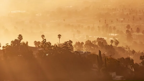 Bunny Museum: Το πιο ασυνήθιστο μουσείο του Λος Άντζελες δεν υπάρχει πια