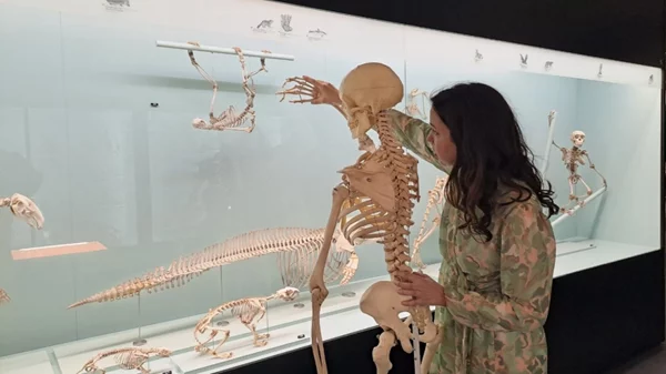 "deadLines": Η περφόρμανς που εξερευνά την επιτάχυνση της ζωής στην Ευρώπη