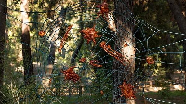 Παράταση για την έκθεση "Shinrin-yoku" στον Βοτανικό Κήπο Διομήδους