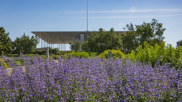 Τα δωρεάν της εβδομάδας: Τρεις αφορμές για να (ξανα)πας στο "Νιάρχος"