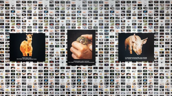 ΕΜΣΤ: "Αν τα ζώα πίστευαν στον Θεό, ο Διάβολος θα ήταν άνθρωπος"