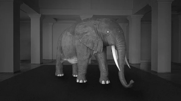 Τι είναι το σύνδρομο "άδειας φωλιάς" και πώς συνδέεται με την απώλεια;