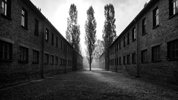 Τι θα δούμε στο Μουσείο Μπενάκη τους επόμενους μήνες