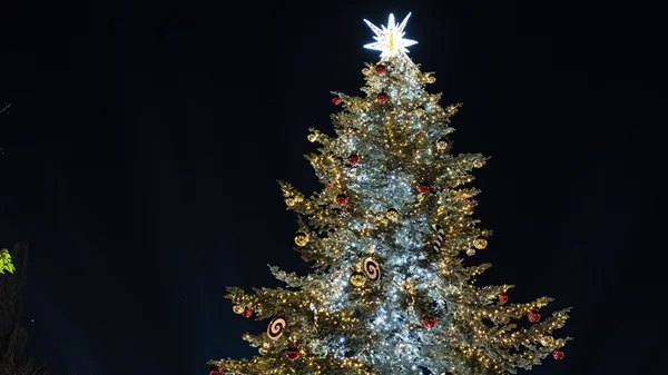 Η Αθήνα σε χριστουγεννιάτικο mood: Δείτε φωτογραφίες από το στολισμένο κέντρο