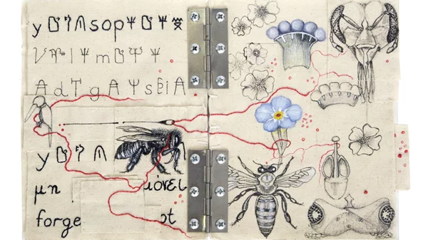 Η οικολογία συναντά τη σύγχρονη τέχνη στην Πινακοθήκη Δήμου Αθηναίων