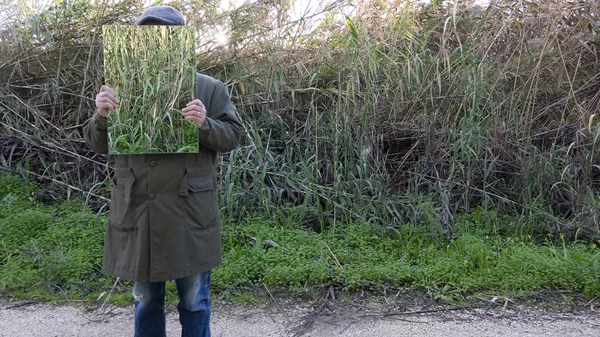 "Neo Tropical": Συγκερασμός τέχνης και οικοσυνείδησης στη γκαλερί Kalfayan