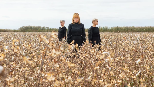 Ο Ένκε Φεζολλάρι μεταφέρει στο θέατρο το μυθιστόρημα "Η αγάπη άργησε μια μέρα"