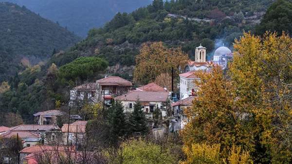Νέος χρόνος γεμάτος μοναδικές δράσεις ξεπρόβαλε στη Βαμβακού Λακωνίας