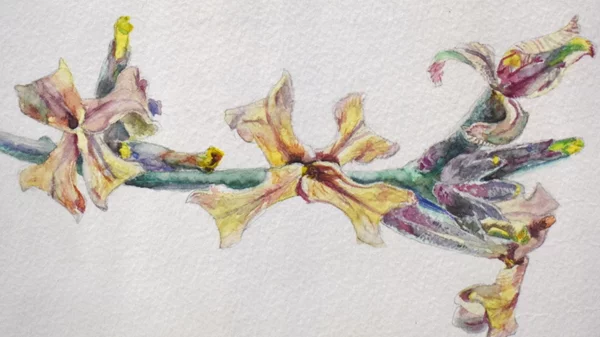 "Μαρμαρυγή": Πώς η τέχνη απαθανατίζει το μεγαλείο της φύσης