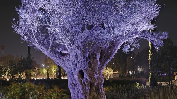 Τα "Τοπόσημα Διασύνδεσης" στο Καπνεργοστάσιο επαναπροσδιορίζουν τη σχέση μας με την πόλη