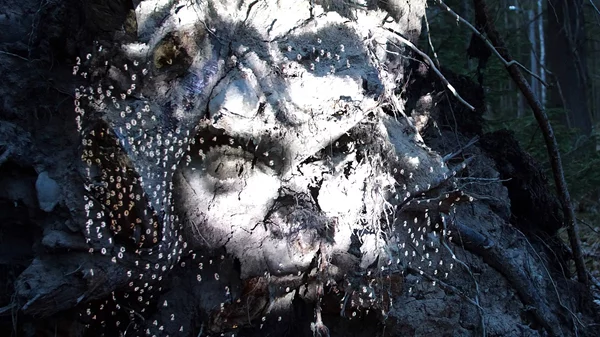 Οι Δελφοί αποκτούν έναν τεχνητό "Κήπο της Πυθίας"