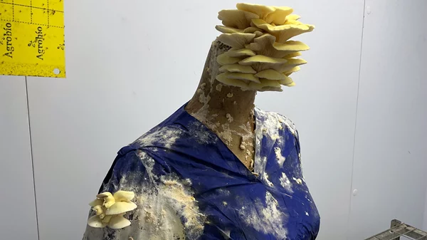 Έκθεση με βιολογικά γλυπτά στο Γεωργικό Μουσείο του Γεωπονικού Πανεπιστημίου