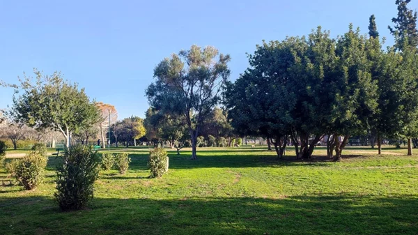 Τα δωρεάν της εβδομάδας: Γλέντι με τους Banda Calda στην Ακαδημία Πλάτωνος