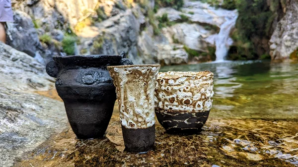 "Neraw": Μπορεί ένα φυτό να γίνει έργο τέχνης;