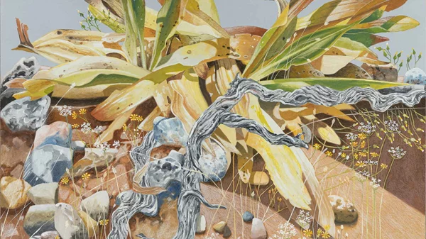 Η ζωγράφος Janet Λιοδάκη απαθανατίζει την άγρια ομορφιά της Κρήτης