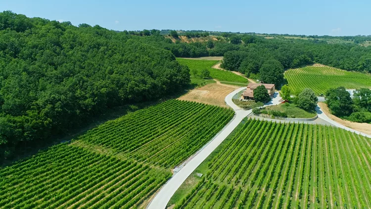 Οινοτουρισμός