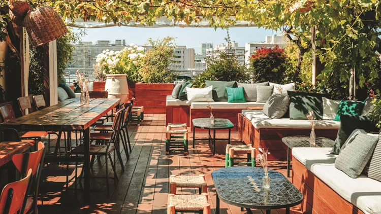 Paris-rooftops