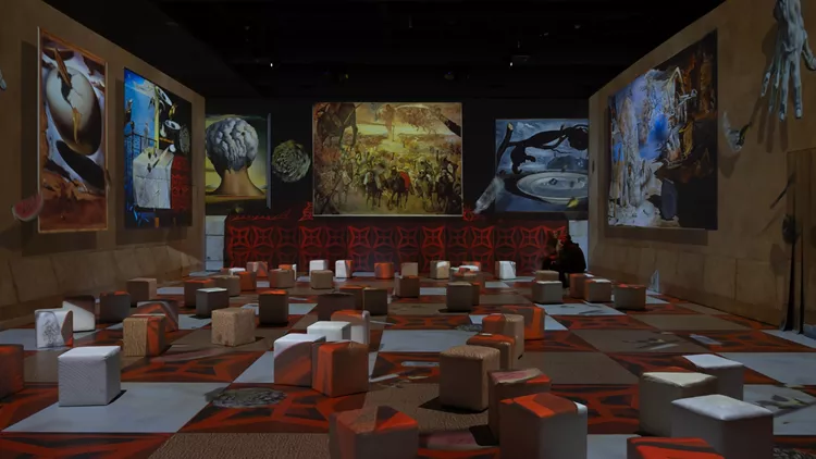 Dali Cybernetics - The Immersive Experience