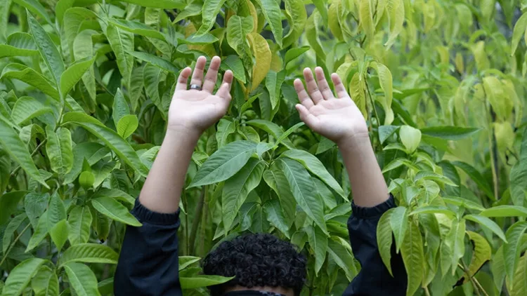 Αποτυπώνοντας τα δικαιώματά τους
