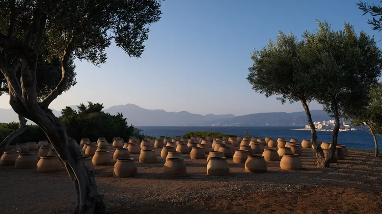 Ενάρετη Σπείρα