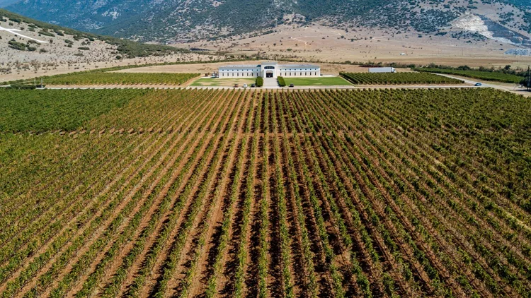 Κτήμα Παυλίδης