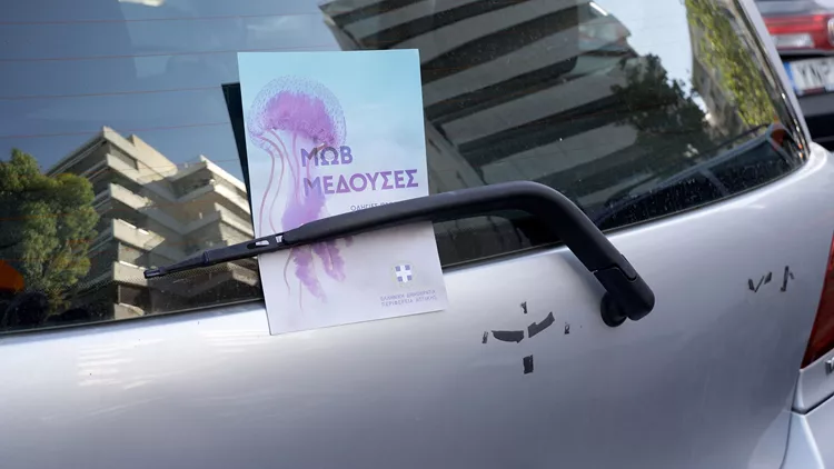 Προστασία και αντιμετώπιση τσιμπήματος από μωβ μέδουσες