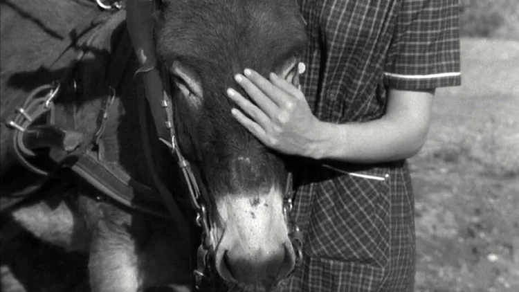 Au Hasard Balthazar