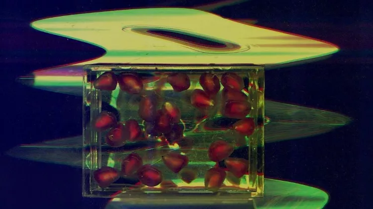 Nana-Sachini-Workshop