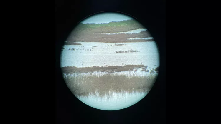 Visuals Vanishing Landscapes, tavros, Αιτωλικό